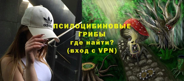 экстази Арсеньев