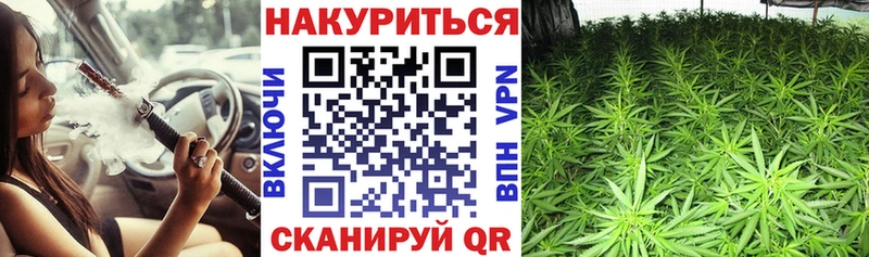Бошки марихуана VHQ  даркнет состав  Сельцо 